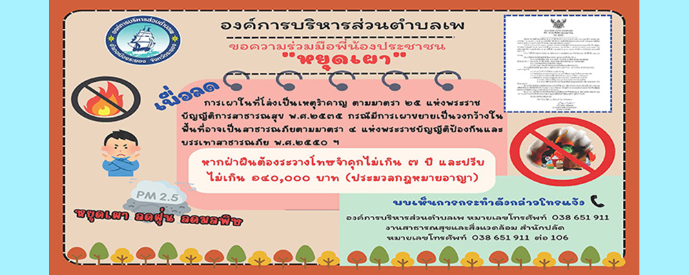 slide_file_11.webp